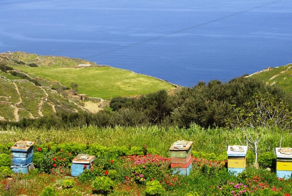 Folegandosmv0oERj3ZPi3vnk9 Greek Island Travel Guide bee hives on Folegandos